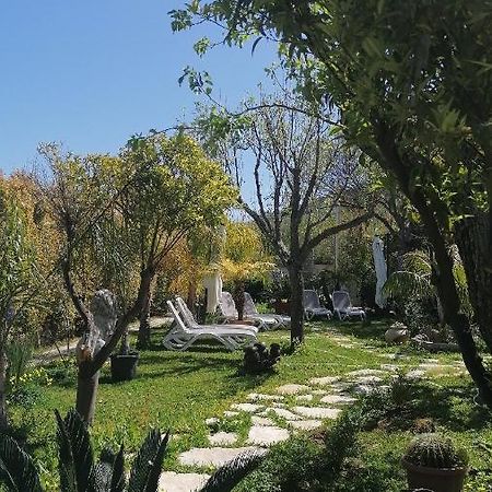 تروبيا Afrodite Accomodation المظهر الخارجي الصورة